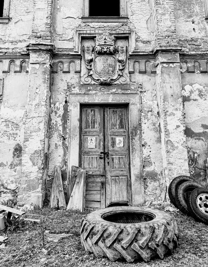 płaskorzeźbiony lew w koronie