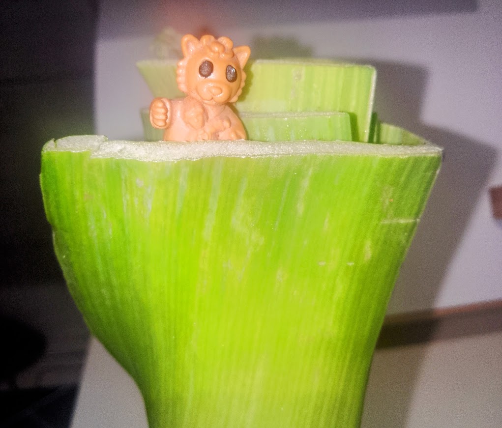 zgadywanki dla trzylatka