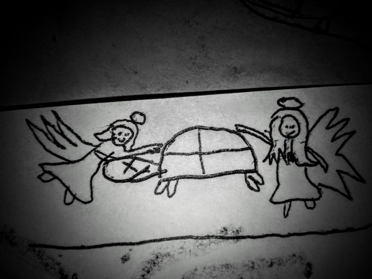 zwierzę idzie do nieba