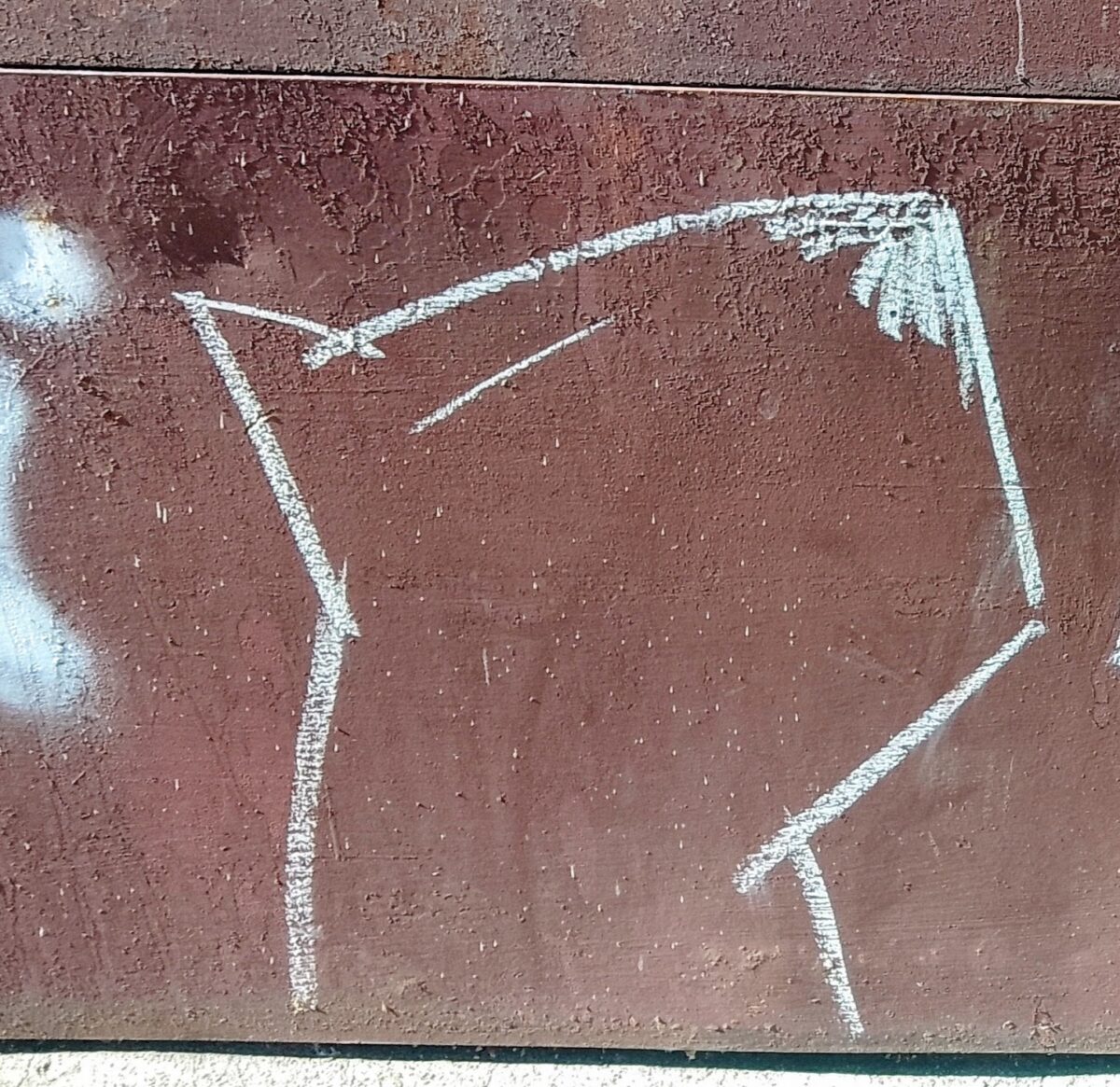 pies grafiti