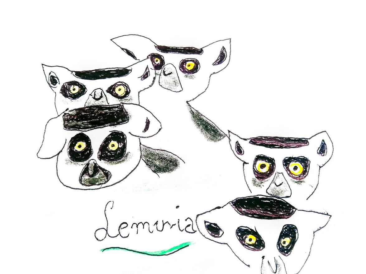 lemury z madagaskaru