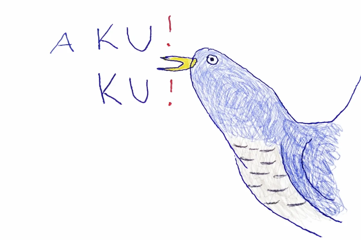 kukułeczka kuka