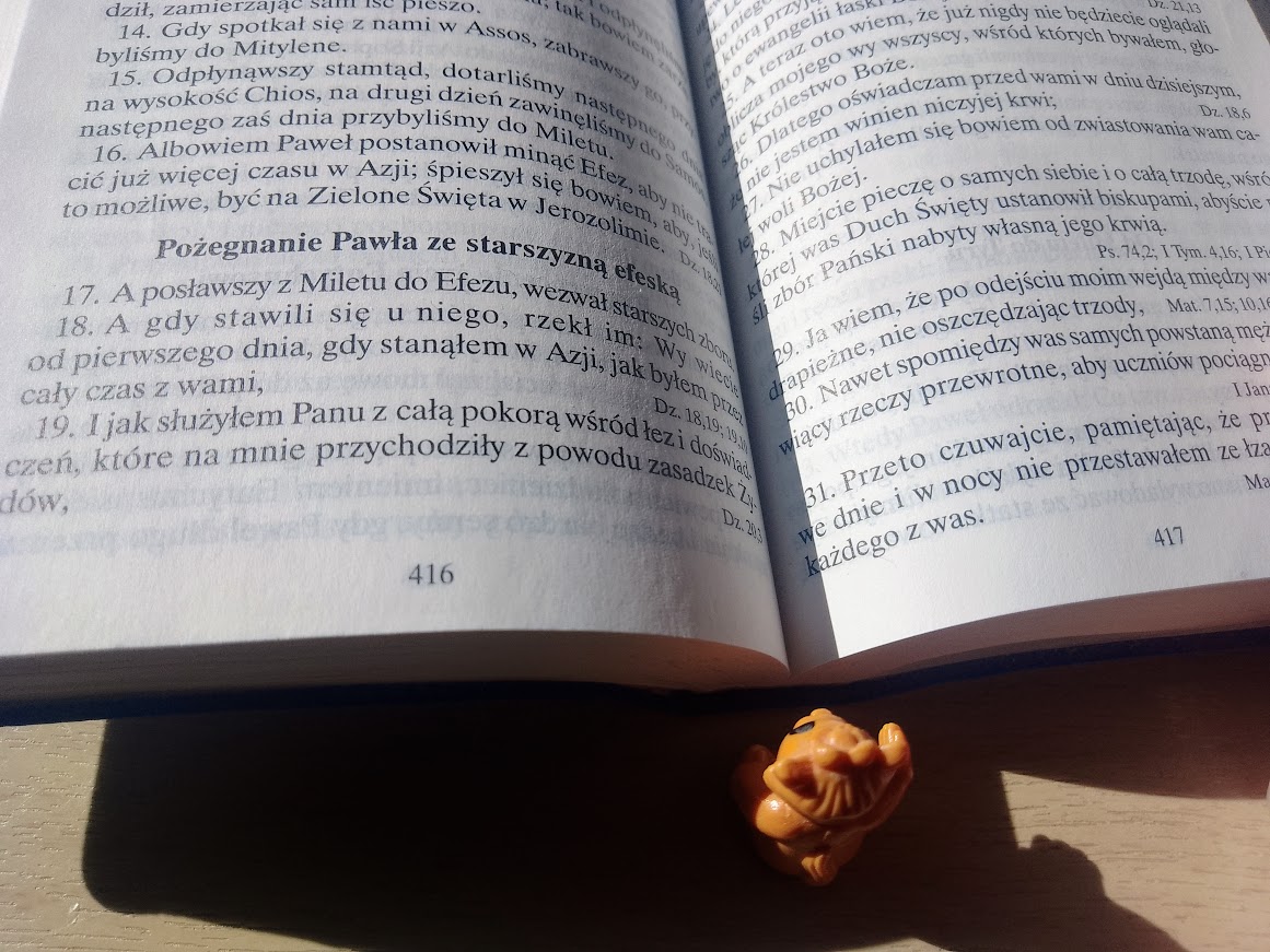 studia biblijne