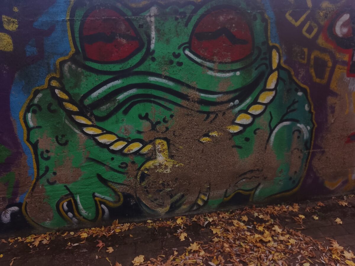 żaba graffiti